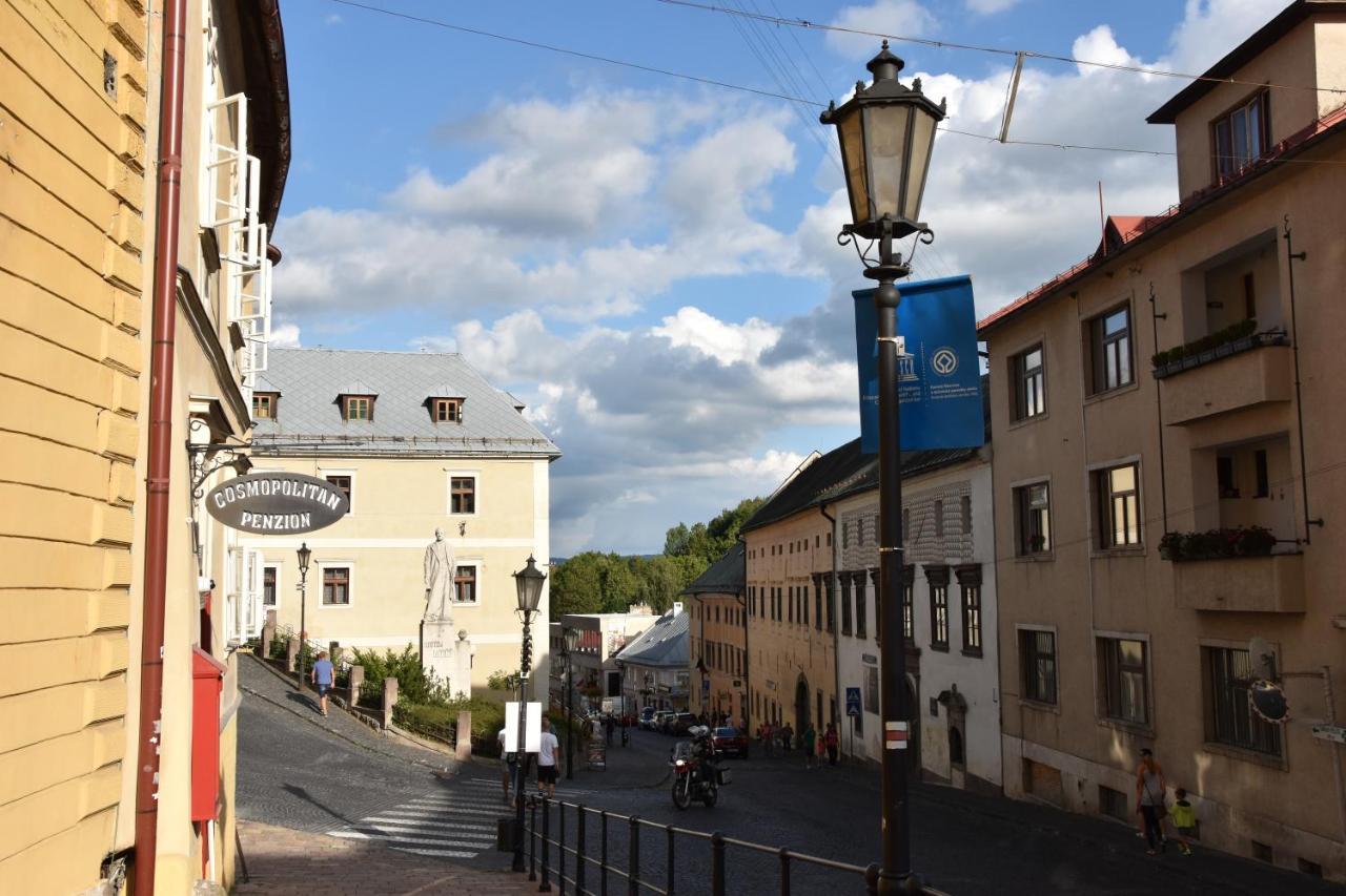 Apartman Stiavnica Banská Štiavnica エクステリア 写真